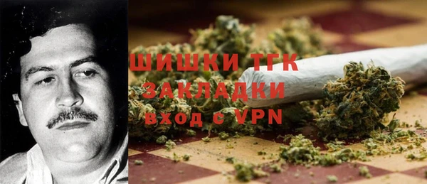 сатива Бежецк